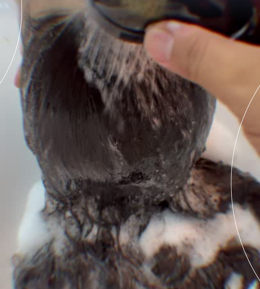 Realinhamento Térmico em Promoção. Diga adeus ao frizz e olá a fios alinhados e com movimento natural!